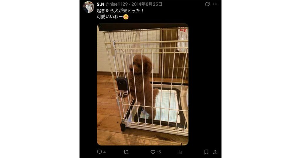 ラヴ上等,櫻井二世